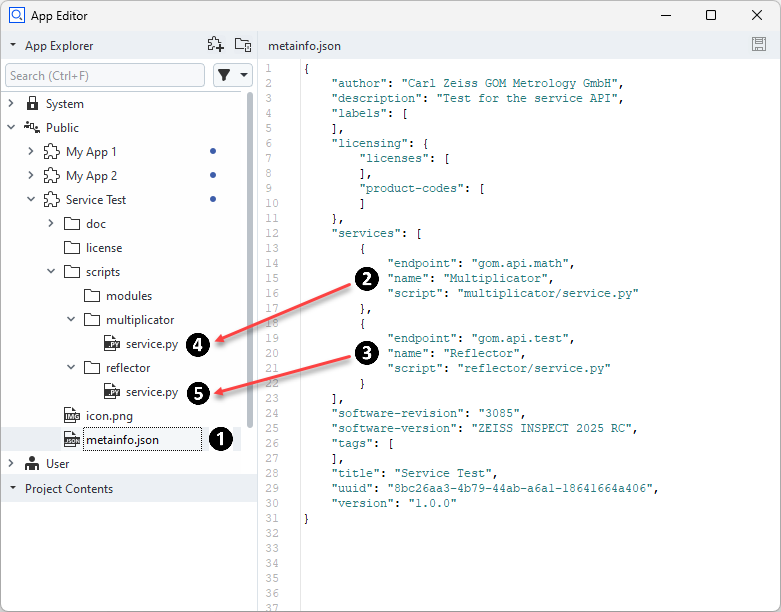 Services metainfo.json example